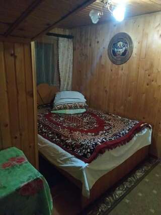 Гостевой дом у Дарини Яблоница Двухместный номер с 1 кроватью или 2 отдельными кроватями, вид на горы-12